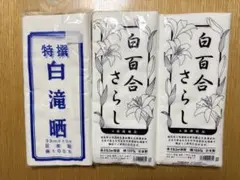 Item thumbnail for item 316e6834-3503-4895-bf54-c31123d77b07