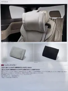 Item thumbnail for item e8858b29-f224-4339-aa7e-32743a946c17