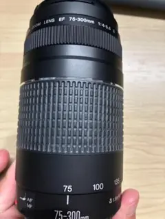 Canon EF 75-300mm f/4-5.6 望遠レンズ