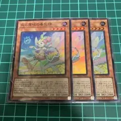 丘と芽吹の春化精 スーパー 3枚セット