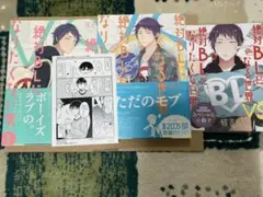 絶対BLになる世界 VS 2巻　小冊子