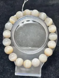 Item thumbnail for item 80fb96e2-a6ec-4217-9152-db230f3d1454