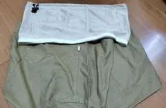 Item thumbnail for item 85014ce8-d8fe-4e3b-9343-8cbfad148754