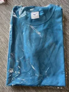 ミズノTシャツ Lサイズ
