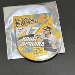 福岡ソフトバンクホークス 有原航平 シークレット缶バッジ 2025キャンプ