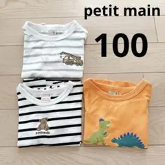 【petit main】プティマイン Tシャツ　まとめ売り　100 男の子