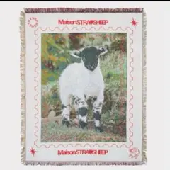 【新品・未使用】MAISON STRAYSHEEP RUG ストレイシープラグ