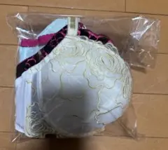 Item thumbnail for item f2153973-4318-4cd3-9242-3500c7be2e40