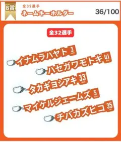 くじコレ　アルビレックス新潟　ダニーロゴメス選手