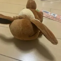 Item thumbnail for item 62bebff8-9f9a-404f-9889-12f87f1d2780