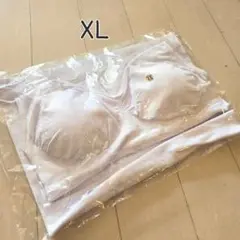 Item thumbnail for item f778c089-a68e-4a38-b531-bded5c6ba413