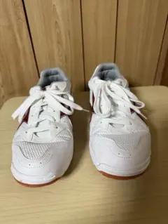MOONSTAR ジムスターS400 26.5