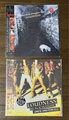 レーザーディスク 酒井法子 Noriko Live '88 / おまけ野音
