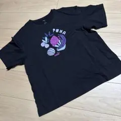 【お値下げ】プーマ　Tシャツ　Lサイズ