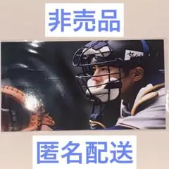 【完売商品】若月健矢 オリジナル写真 2025年 オリックス・バファローズ