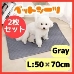 Item thumbnail for item cb0b8dd7-fd6d-4cb4-8d91-43fc0d31dce5