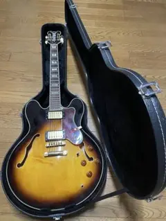 新品同様 Epiphone Sheraton II Pro 純正ハードケース 新品同様 Epiphone Sheraton II Pro 純正ハードケース