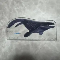 Item thumbnail for item bd6d7fc7-b4fe-4ea7-b766-0021877817df