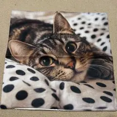 キジ猫柄　ネコ　クッションカバー　リアル　猫　キジトラ　45×45　インテリア