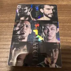 RIZIN35 No.14 ポテトスティック ポスターカードコレクション