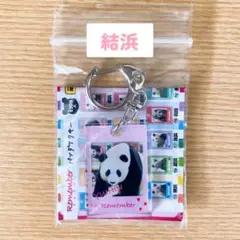 アドベンチャーワールド パンダ 新ガチャ 結浜 アクリルキーホルダー