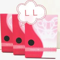 Item thumbnail for item 62a29d4e-71da-48ba-9bf8-549d38286aa8