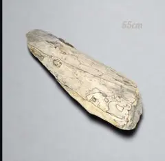 Item thumbnail for item 93edbaeb-49dd-4080-a1e5-667a411a01ed