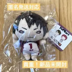 【必読アリ】白布賢二郎 にとたん ぬいぐるみ ハイキュー 白鳥沢 ハイキュー 白布賢二郎 にとたん ぬいぐるみ - メルカリ