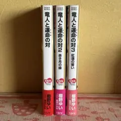 BL 小説【竜人と運命の対】櫛野ゆい 1～3巻セット コミコミ特典ペーパー