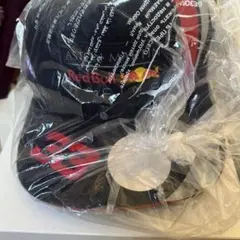 Red Bull Replica Verstappen F1