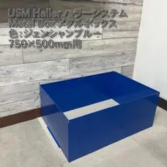 USM Haller ハラ－ D500 メタルボックス 色：ブルー（１）
