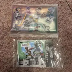JR東日本ポケモンメガスタンプラリー2025 ポケモンフレンダ＋マルチケース