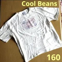 【Cool Beans】女の子160/Tシャツ/カットソー/半袖/白