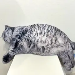 リアルでぶ猫クッション2 ②
