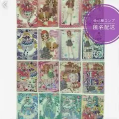 わんだふるぷりきゅあ！ キラキラクリアカード コンプリートセット