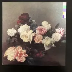 new order / POWER,CORRUPTIONu0026LIES アナログ