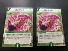 魂の呼び声　プロモ