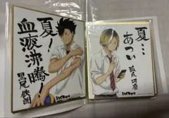 ハイキュー 色紙 8枚セット 収納ファイル付き