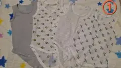 Item thumbnail for item b3a1b4bd-5e1a-4ff4-9e4b-df1308e4789c