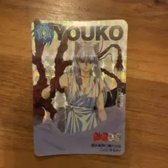 幽遊白書　カード　YOUKO
