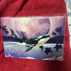 スプレーアートエデン　シャチSMキャンパス複製画