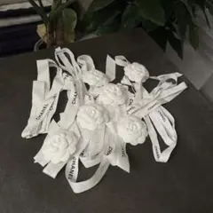 Item thumbnail for item 4120d8aa-c4ae-4611-b93e-0c4a1623e243