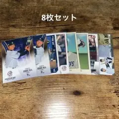 【匿名配送】蛭間拓哉 8枚セット　西武ライオンズ ルーキー　BBM topps