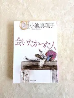 会いたかった人　小池　真理子 匿名配送　即日発送