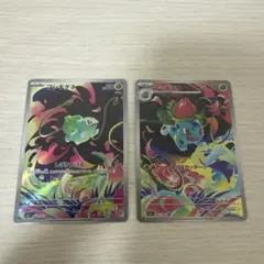 【美品】フシギダネ フシギソウ ar セット