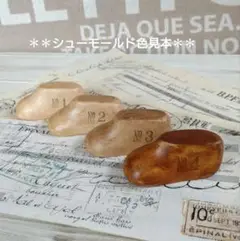 シューモールド　色見本