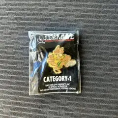 Jリーグジェフユナイテッドピンバッジ