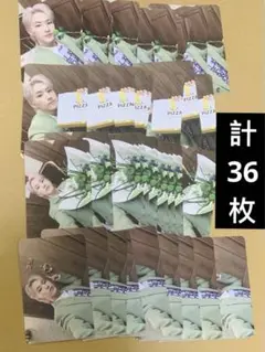 seventeen spill carat盤　バインダー　トレカ　　ホシ