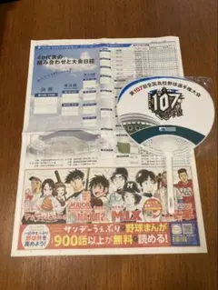 第107回全国高校野球選手権大会　朝日新聞　うちわ　2点セット