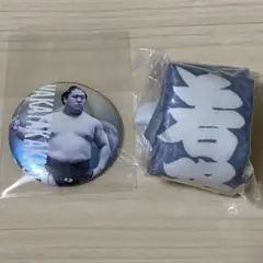 大相撲 若隆景 関取全員集合缶バッジ ペットボトルカバー ガチャ セット